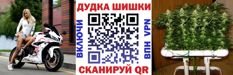 Виды наркоты Котовск Конопля  A PVP  ГАШИШ  Мефедрон 