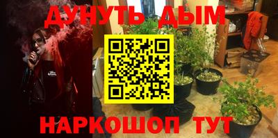 гашиш Кингисепп
