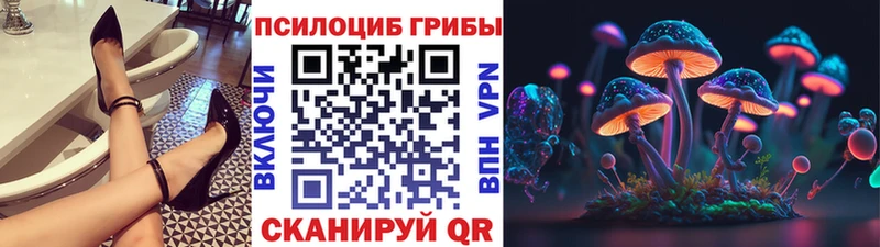 наркотики  Котовск  Псилоцибиновые грибы Psilocybine cubensis 
