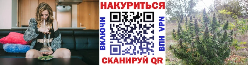 Каннабис MAZAR Котовск